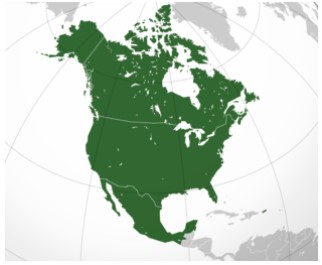 North American Free Trade (NAFTA)